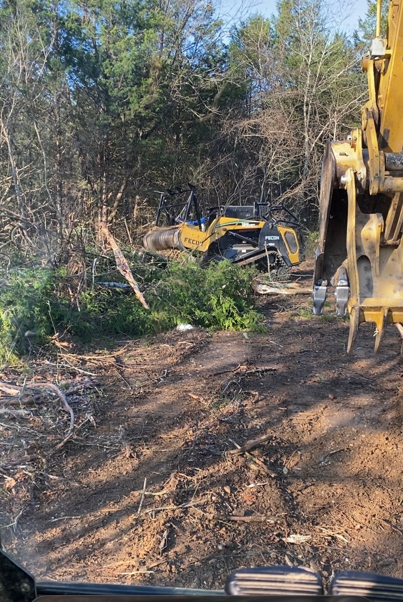Urban Lot Clearing